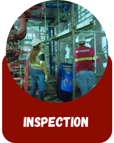 Inspection